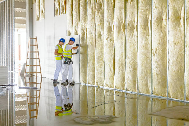 Best Insulation Maintenance and Repair in Helena Valley Northwest, MT
